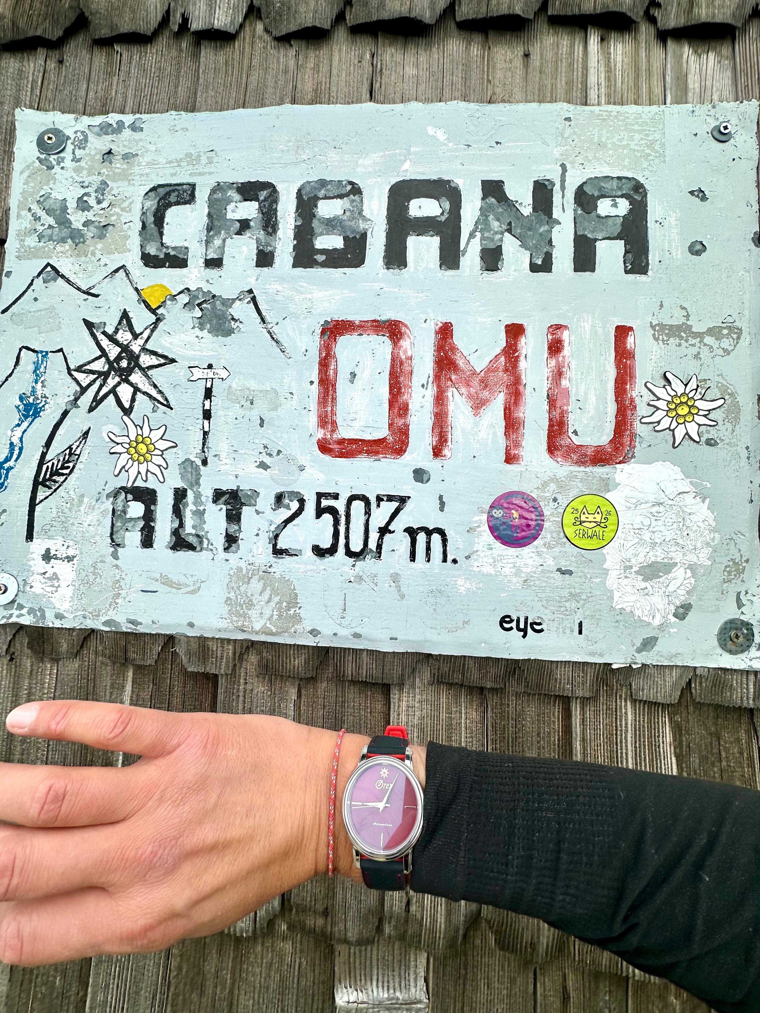 Adrian Ahrițculesei și Orex® pe vf Omu la 2507m